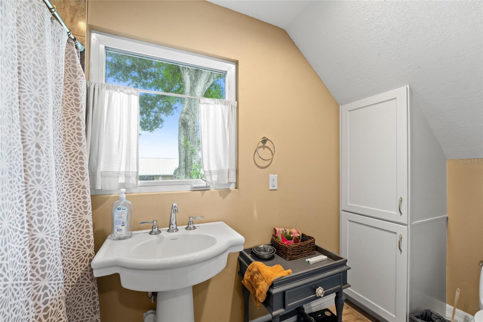11200 LANE PARK RD, TAVARES, FL, 32778