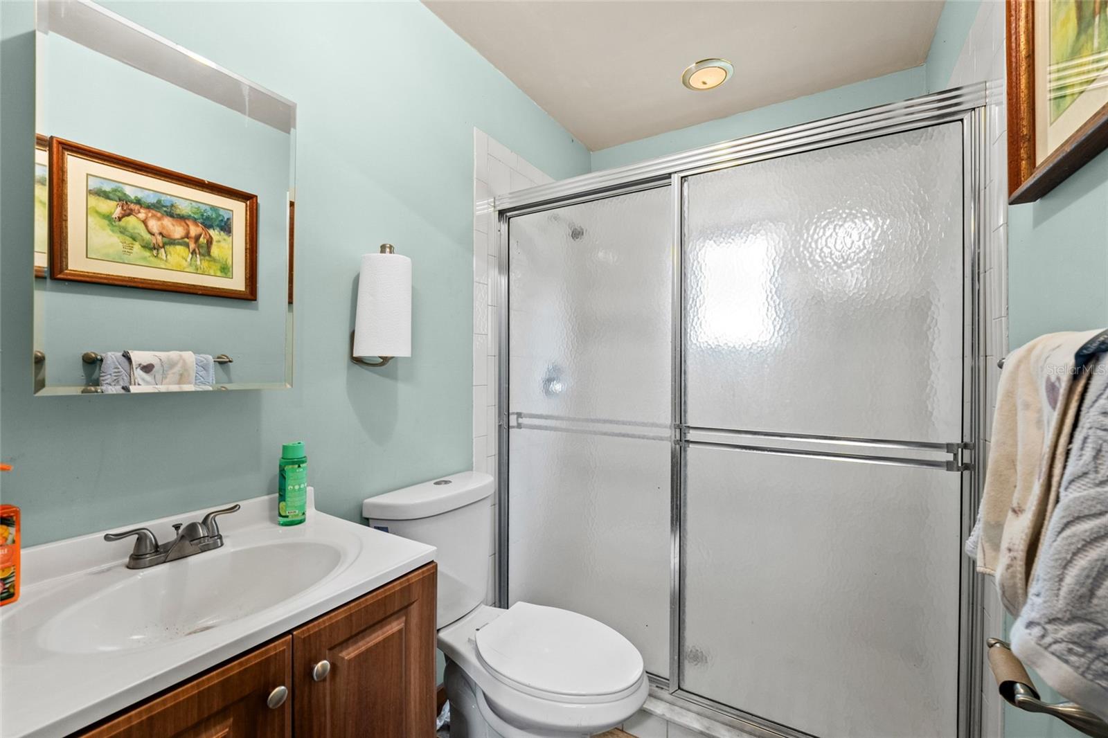 11200 LANE PARK RD, TAVARES, FL, 32778
