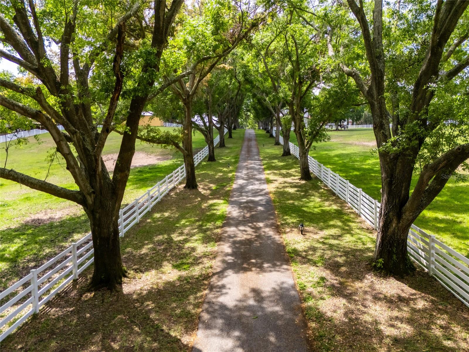 11200 LANE PARK RD, TAVARES, FL, 32778