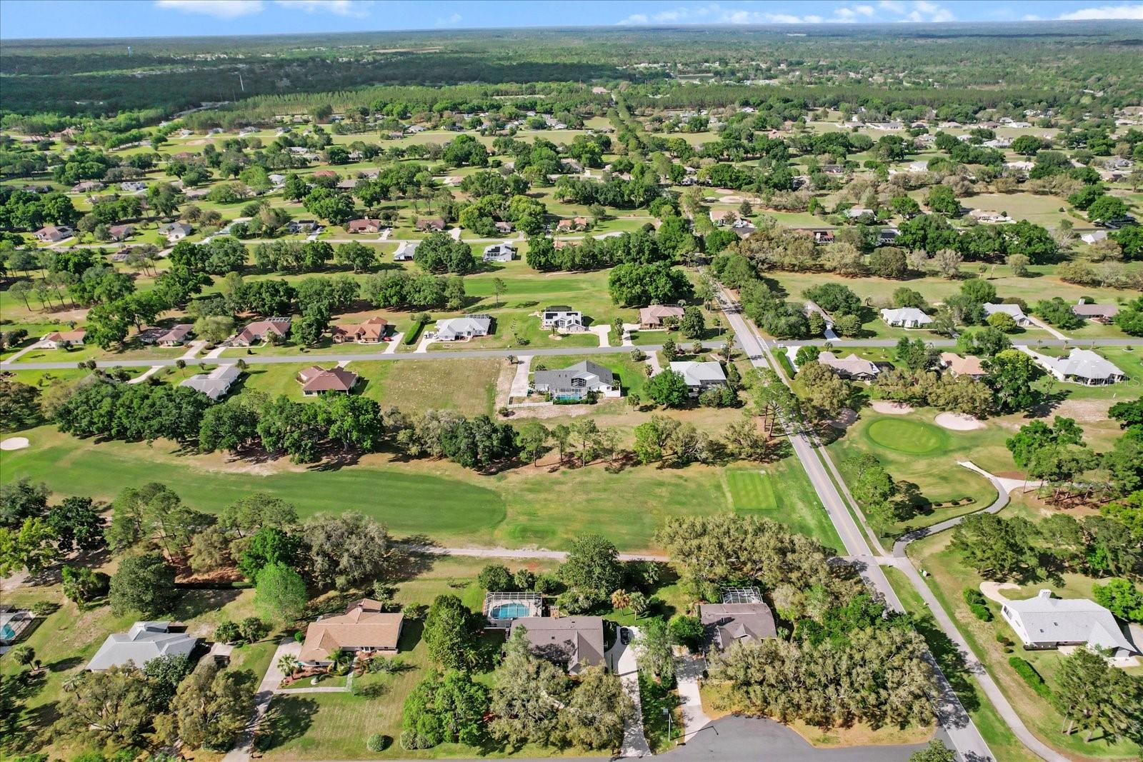 390 E FALCONRY CT, HERNANDO, FL, 34442