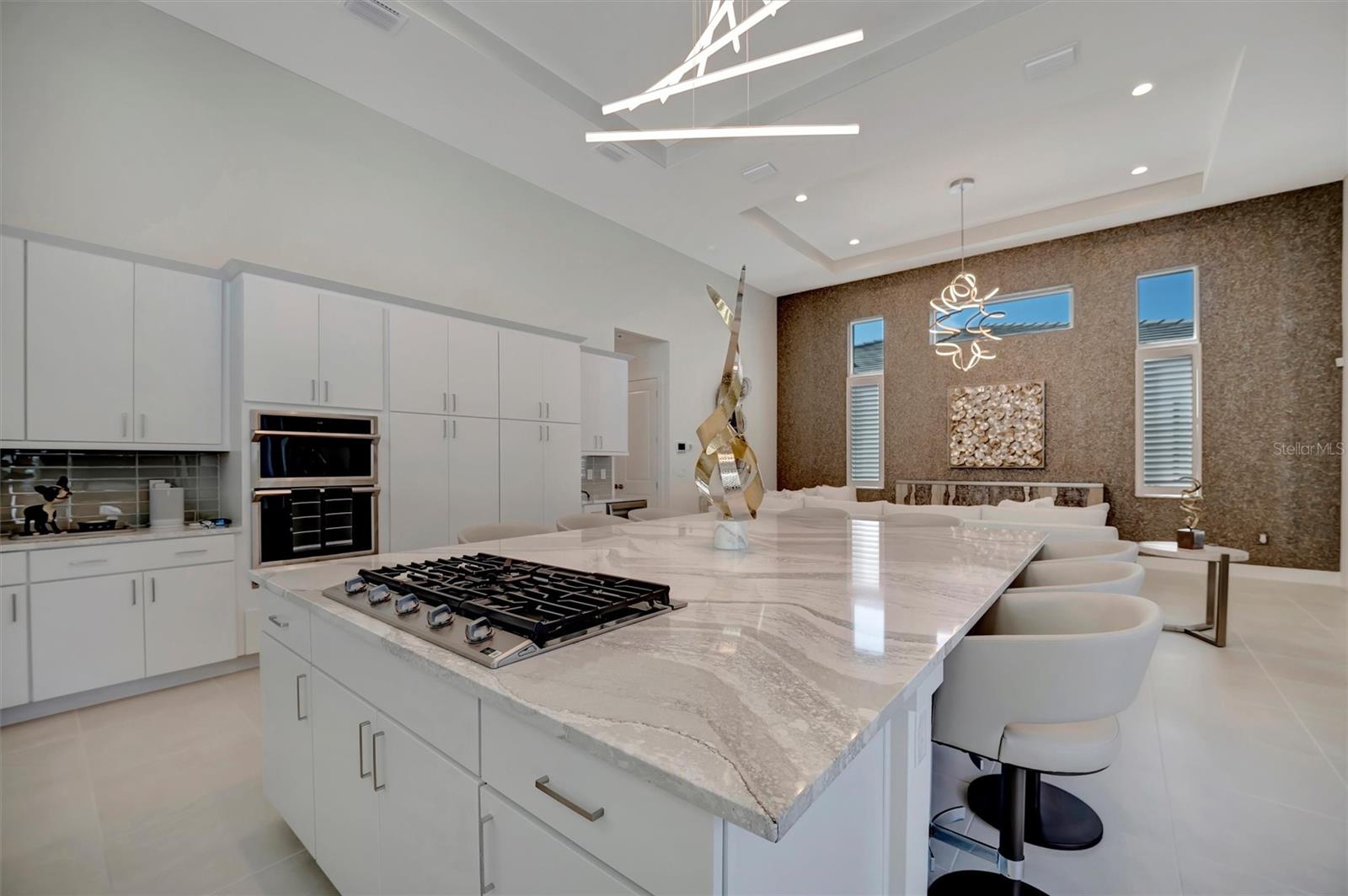 6035 SALT GRASS ST, BRADENTON, FL, 34210