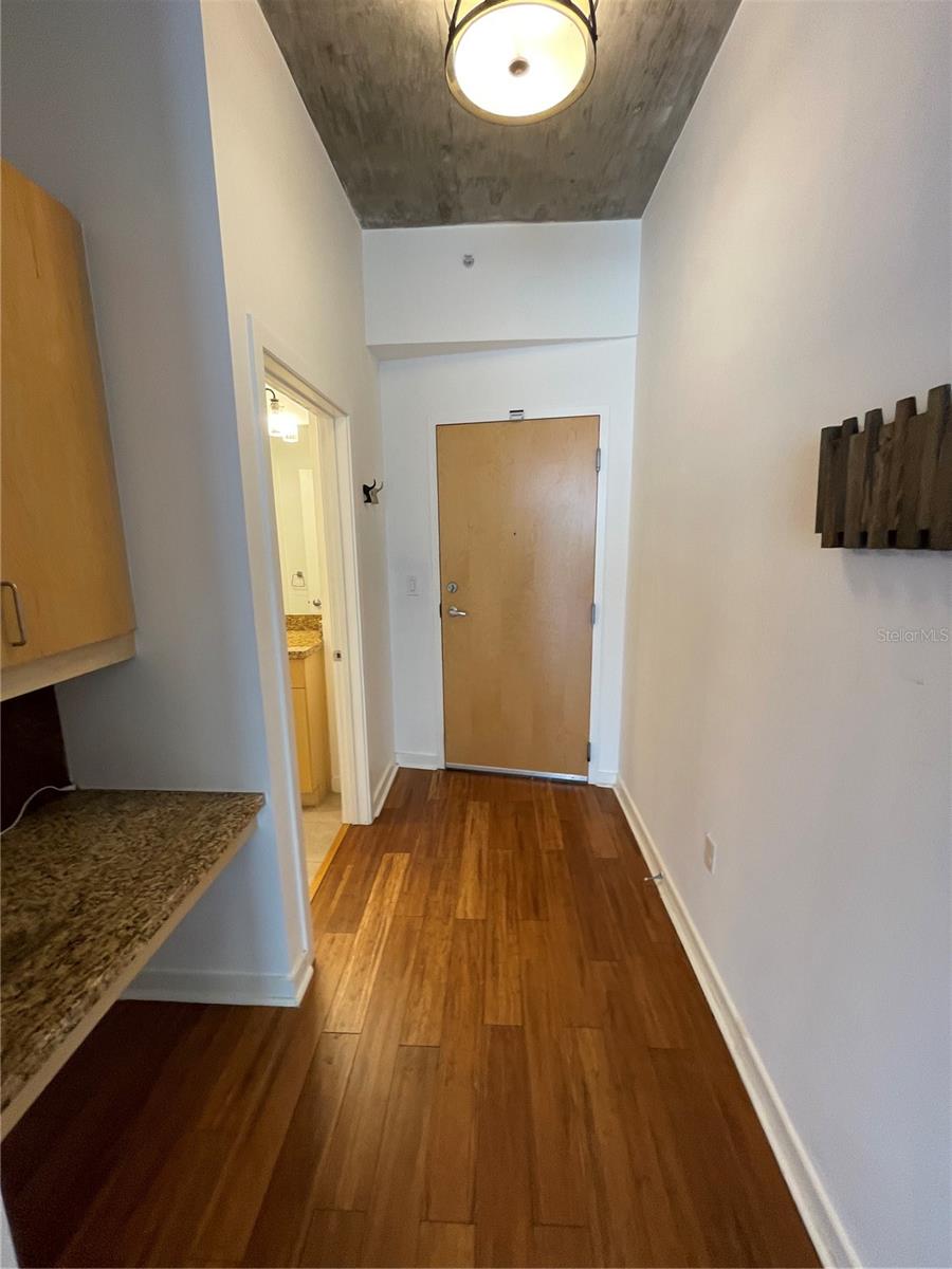 155 S COURT AVE #1308, ORLANDO, FL, 32801