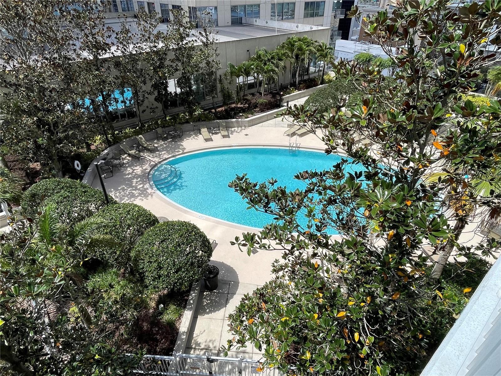 155 S COURT AVE #1308, ORLANDO, FL, 32801