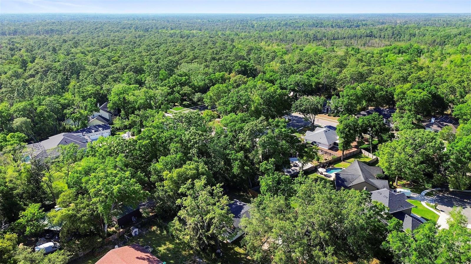 2225 E WELCH RD, APOPKA, FL, 32712