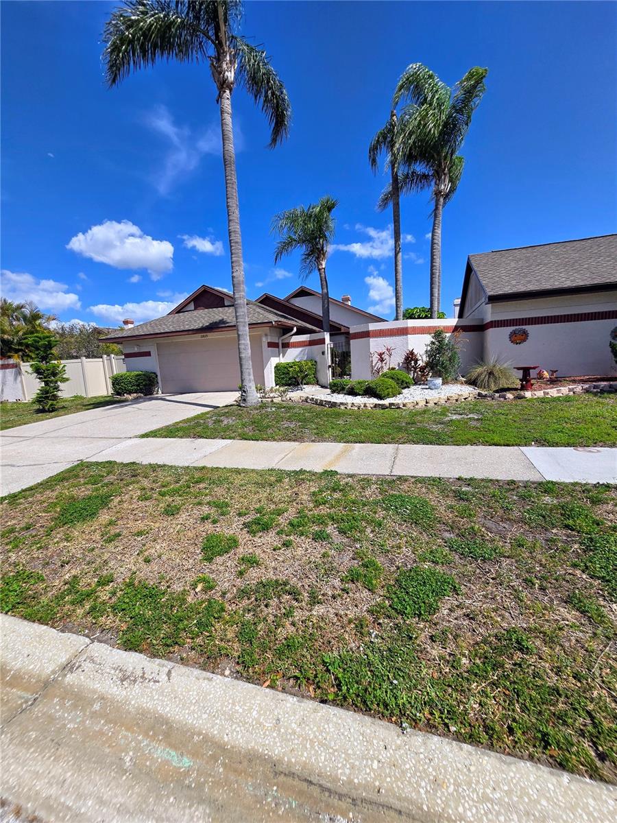 10825 VENICE CIR, TAMPA, FL, 33635