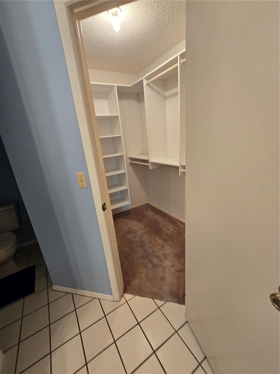 10825 VENICE CIR, TAMPA, FL, 33635