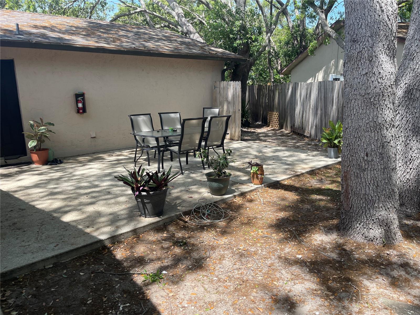 177 MARGIE ST, PALM HARBOR, FL, 34683