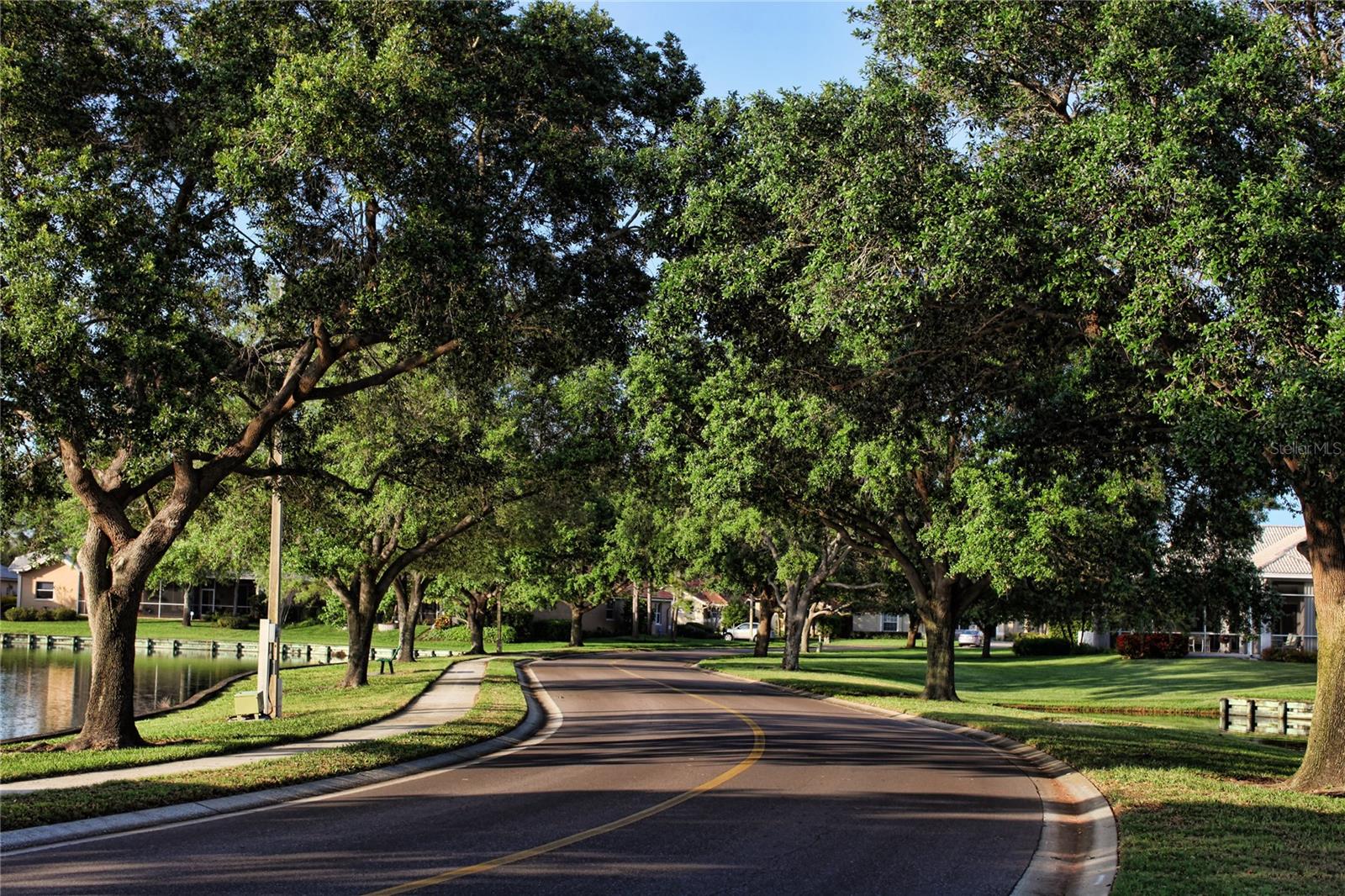 4670 SLASH PINE LN NE, ST PETERSBURG, FL, 33703