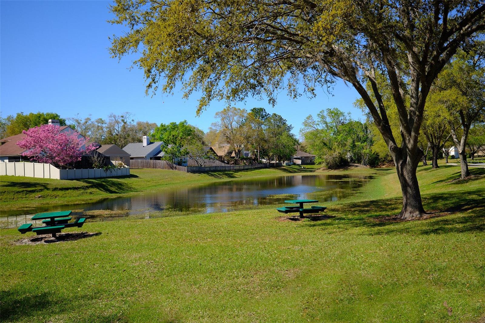 1610 SPINNING WHEEL DR, LUTZ, FL, 33559