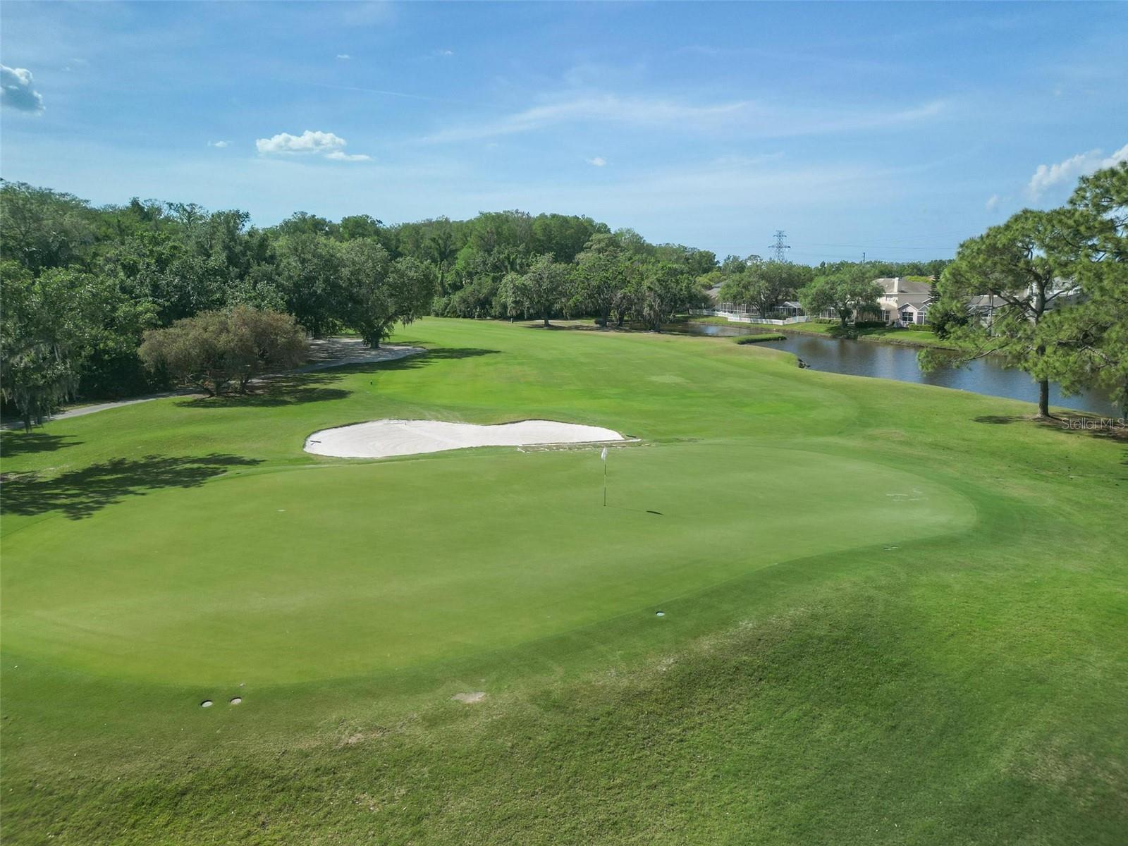 25 WOODS LANDING TRL, OLDSMAR, FL, 34677