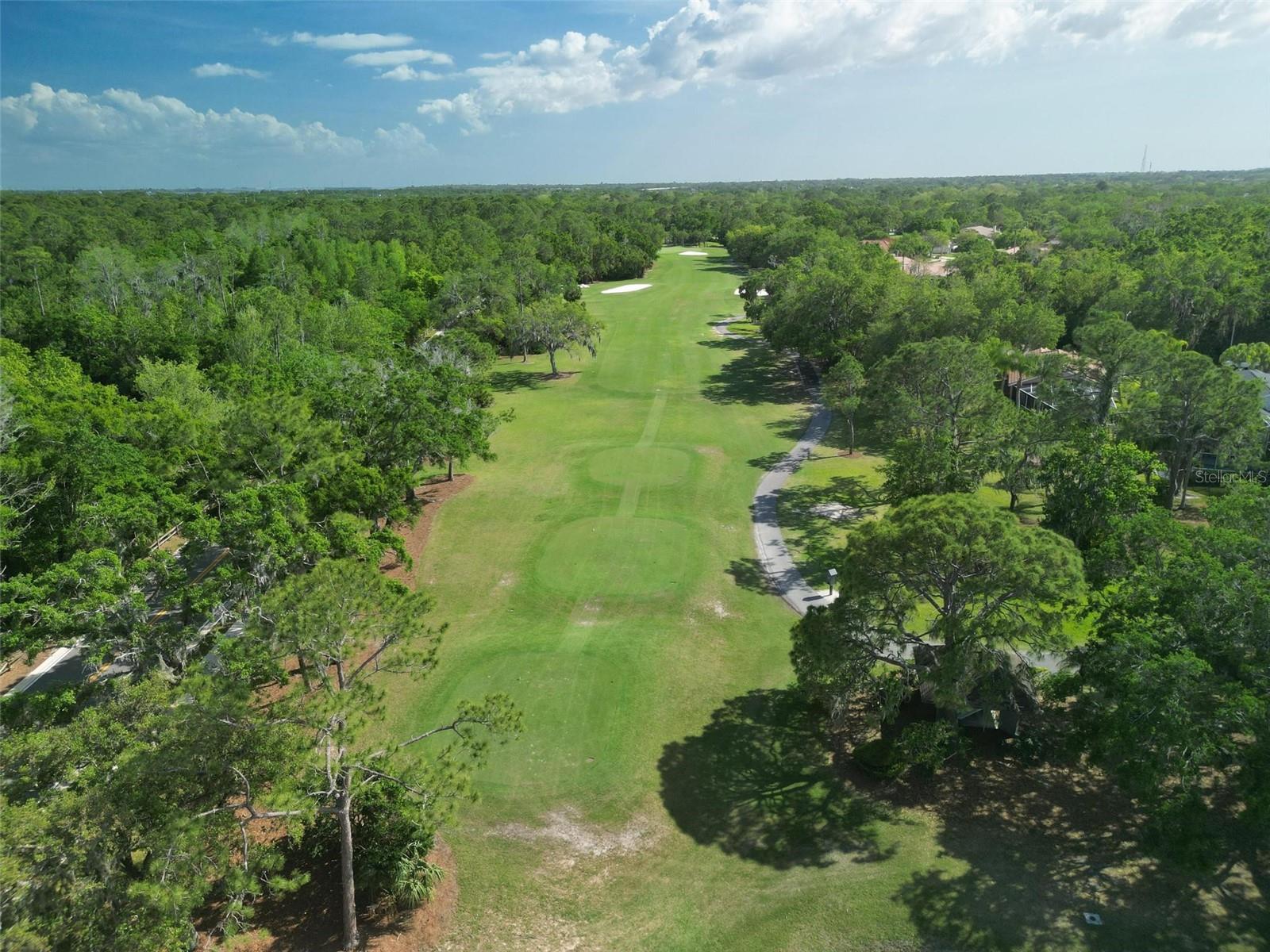 25 WOODS LANDING TRL, OLDSMAR, FL, 34677
