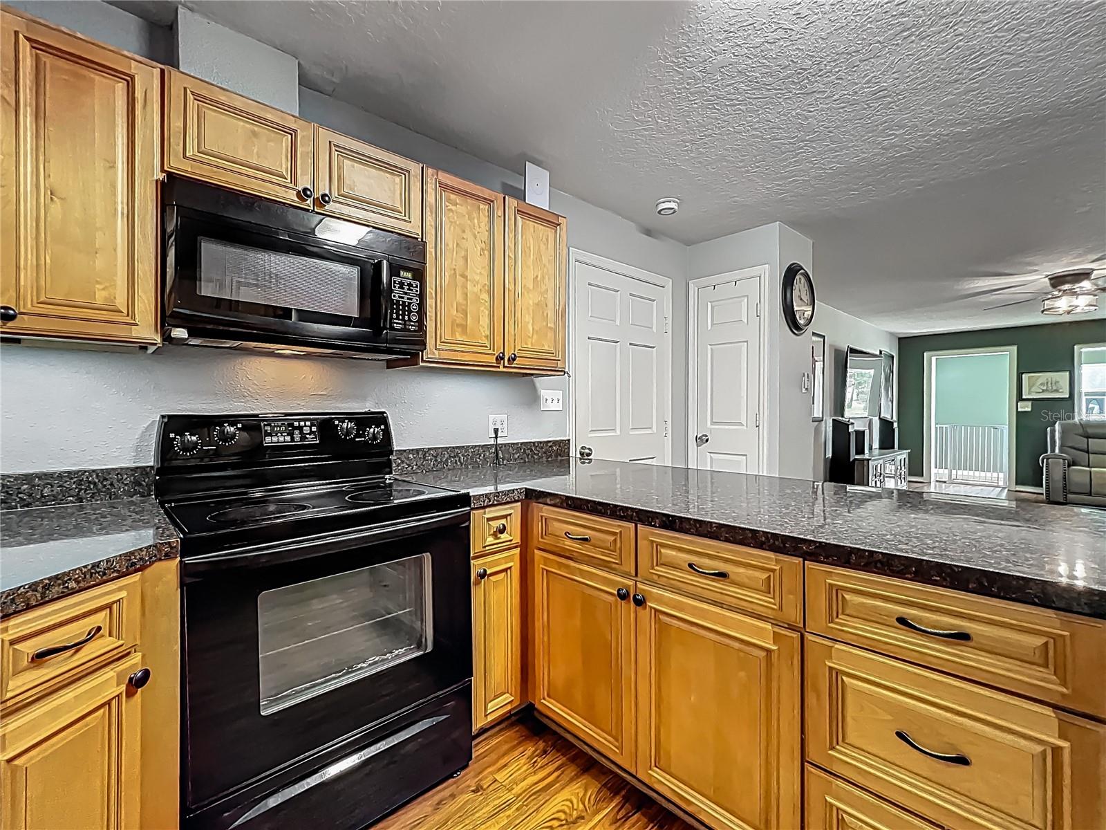 26619 BIMINI DR, TAVARES, FL, 32778