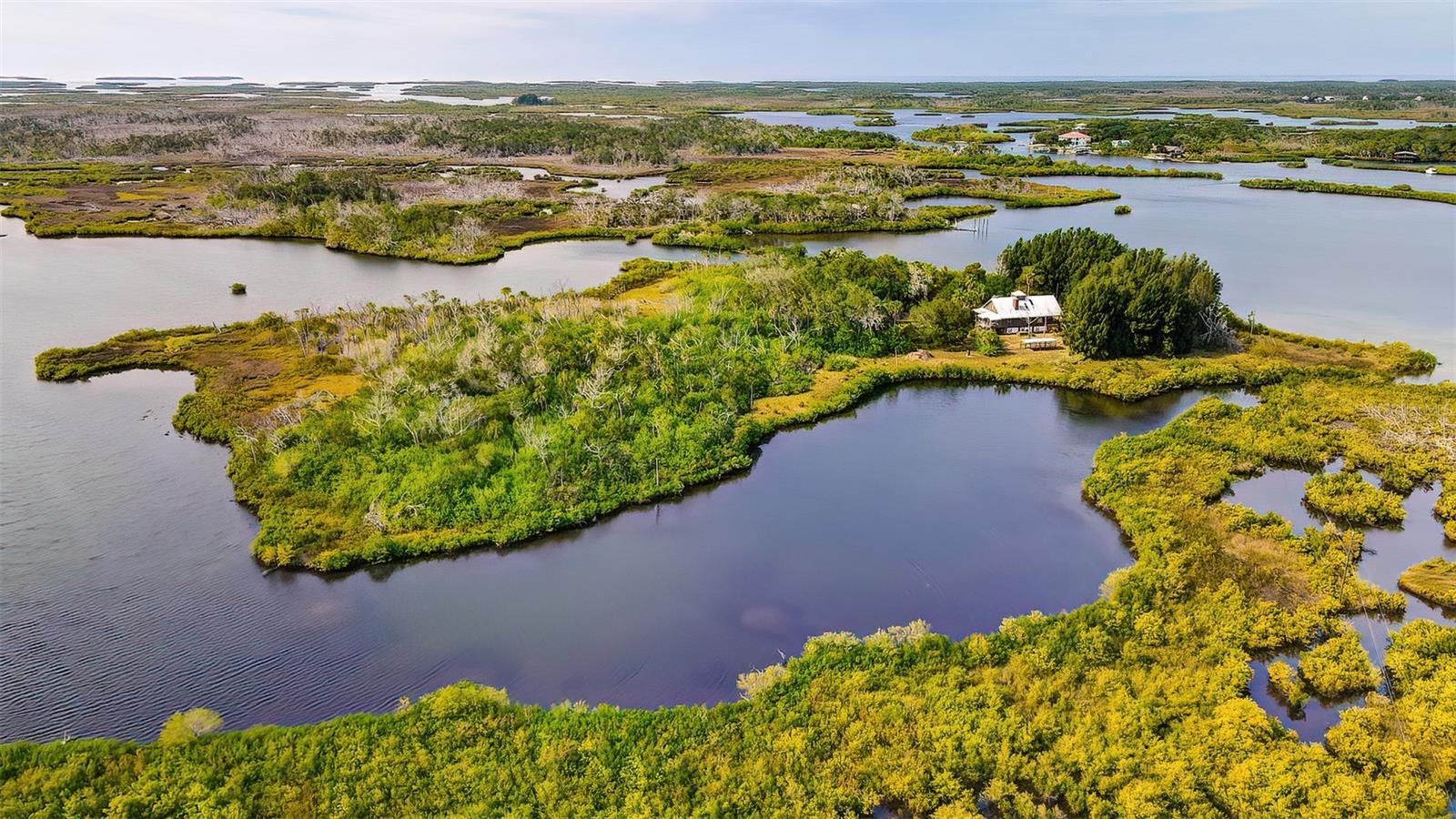 13835 RICKS IS, CRYSTAL RIVER, FL, 34429