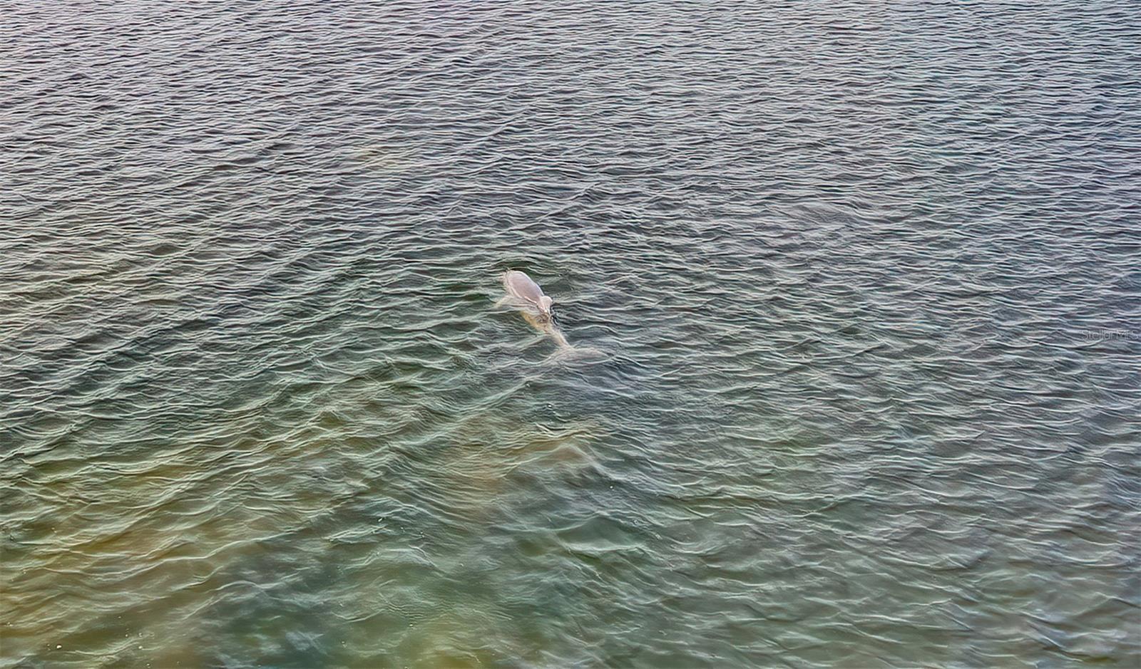 13835 RICKS IS, CRYSTAL RIVER, FL, 34429
