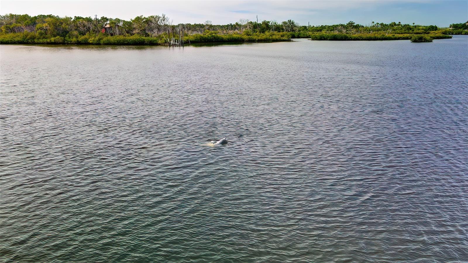 13835 RICKS IS, CRYSTAL RIVER, FL, 34429