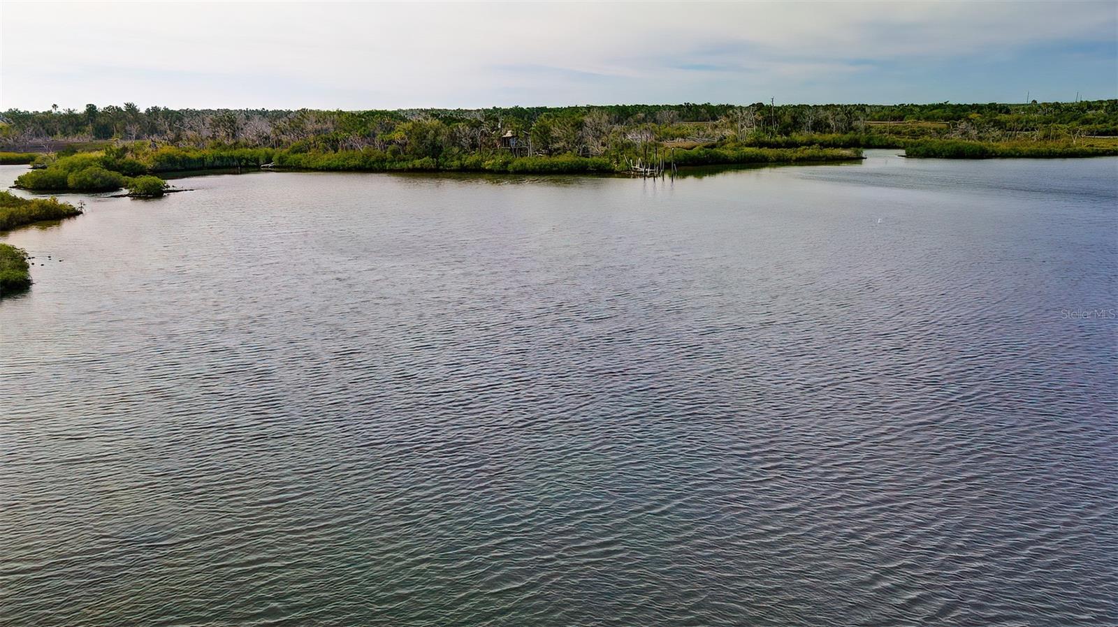 13835 RICKS IS, CRYSTAL RIVER, FL, 34429