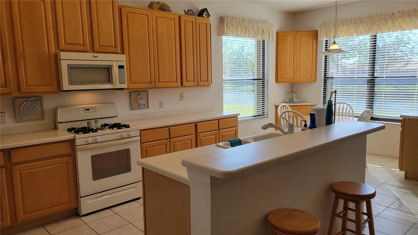 8175 STIRLING FALLS CIR, SARASOTA, FL, 34243