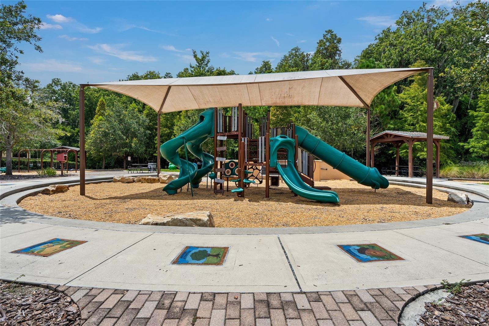 32713 BROOKS HAWK LN, WESLEY CHAPEL, FL, 33543