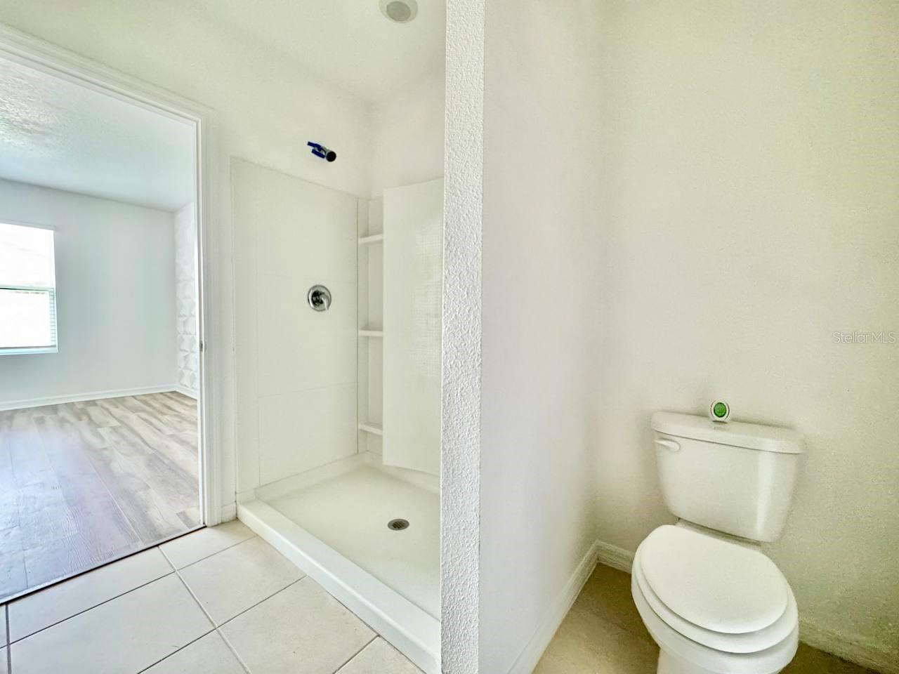32713 BROOKS HAWK LN, WESLEY CHAPEL, FL, 33543