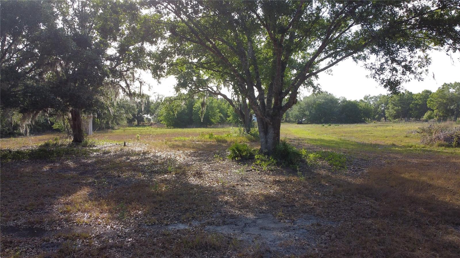 1412 FRIENDSHIP LN, ZOLFO SPRINGS, FL, 33890