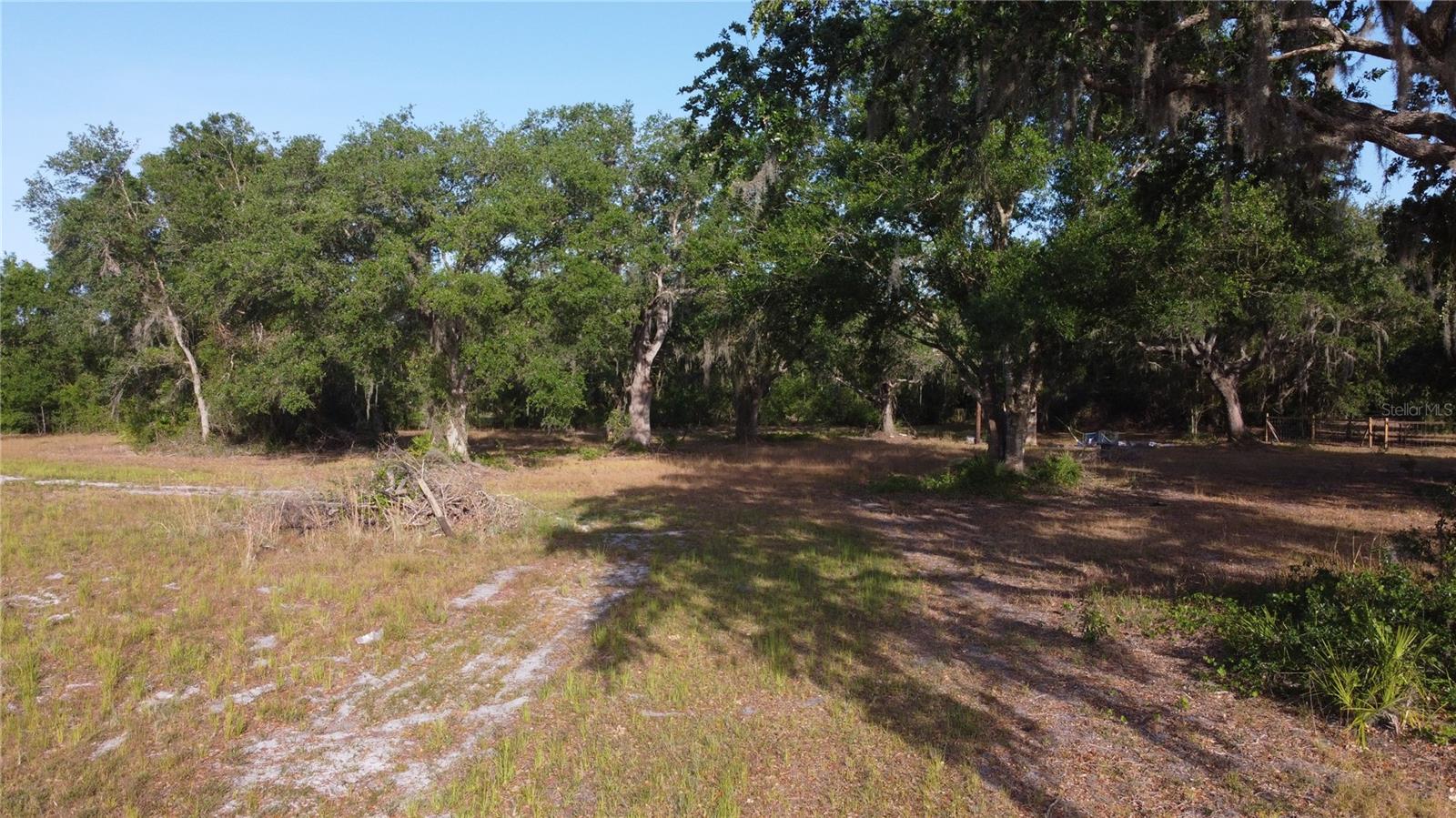 1412 FRIENDSHIP LN, ZOLFO SPRINGS, FL, 33890