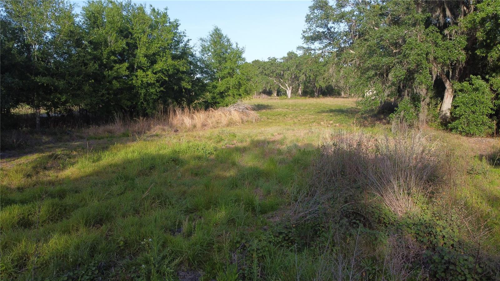 1412 FRIENDSHIP LN, ZOLFO SPRINGS, FL, 33890