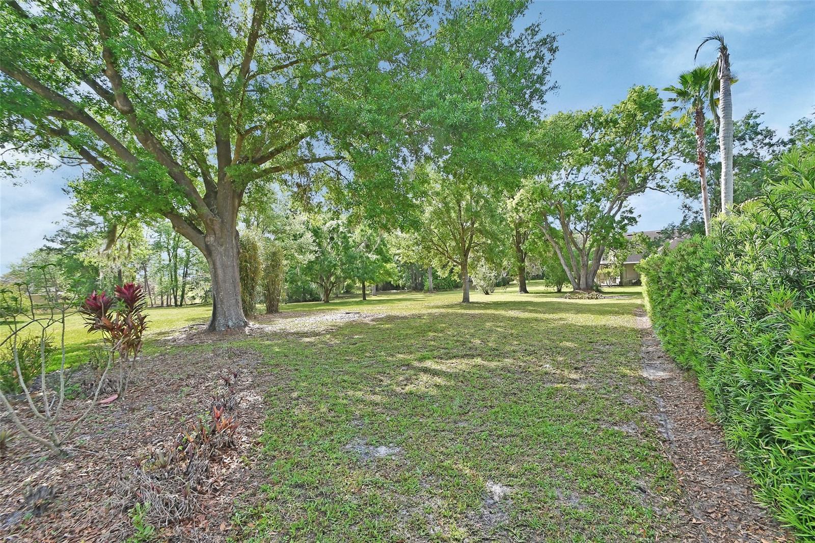 1661 TIMBER HILLS DR, DELAND, FL, 32724