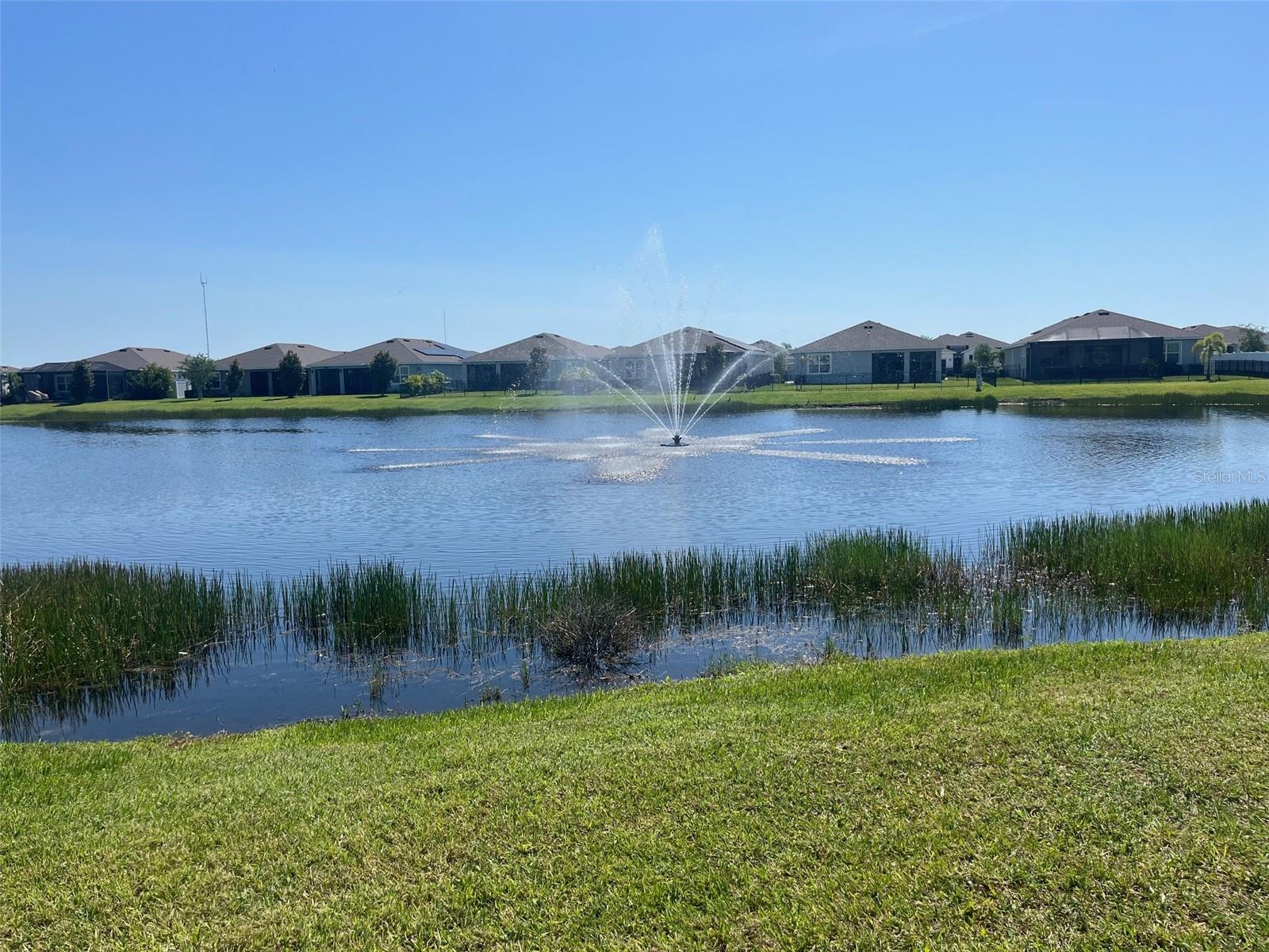 13338 WATERLEAF GARDEN CIR, RIVERVIEW, FL, 33579