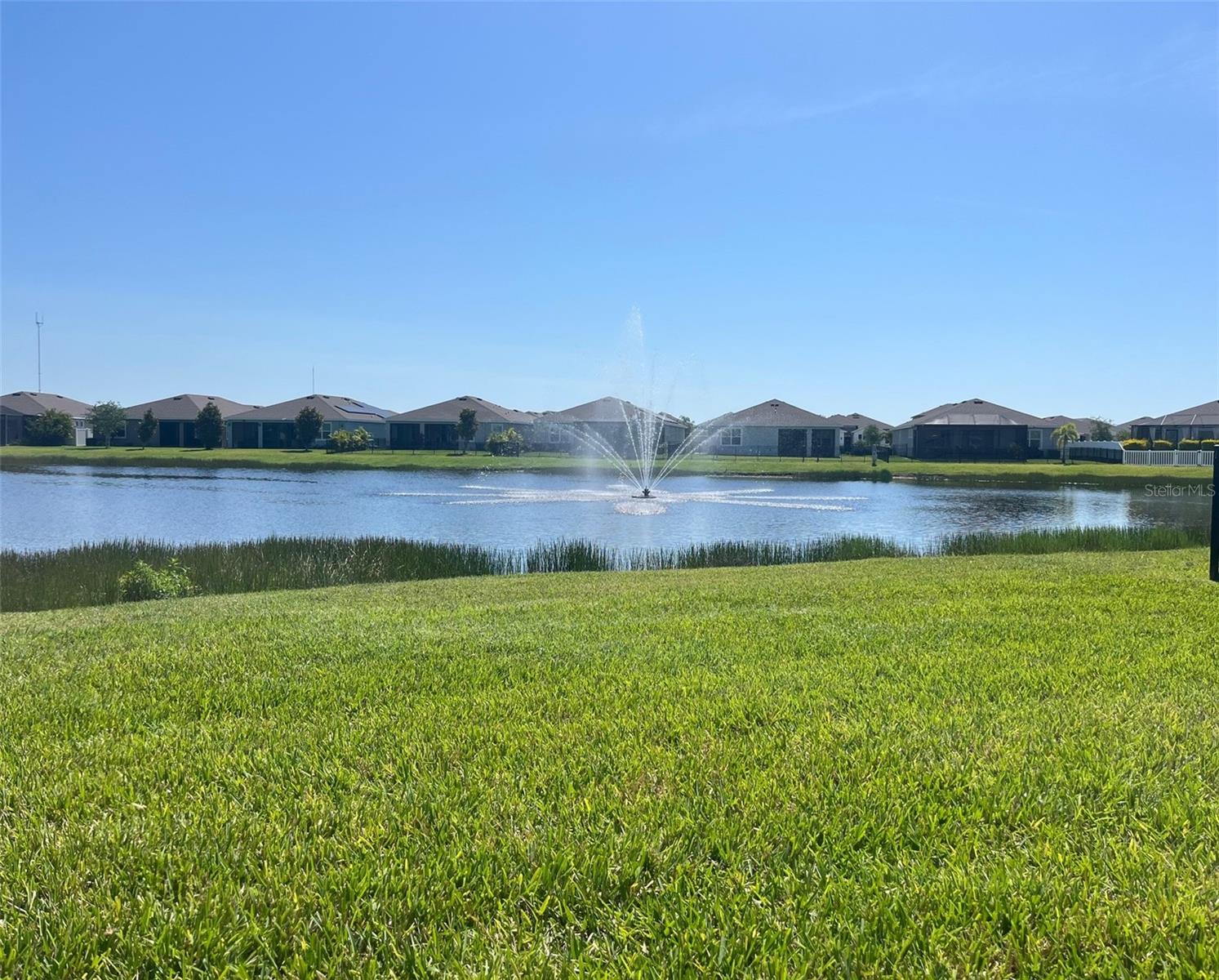 13338 WATERLEAF GARDEN CIR, RIVERVIEW, FL, 33579
