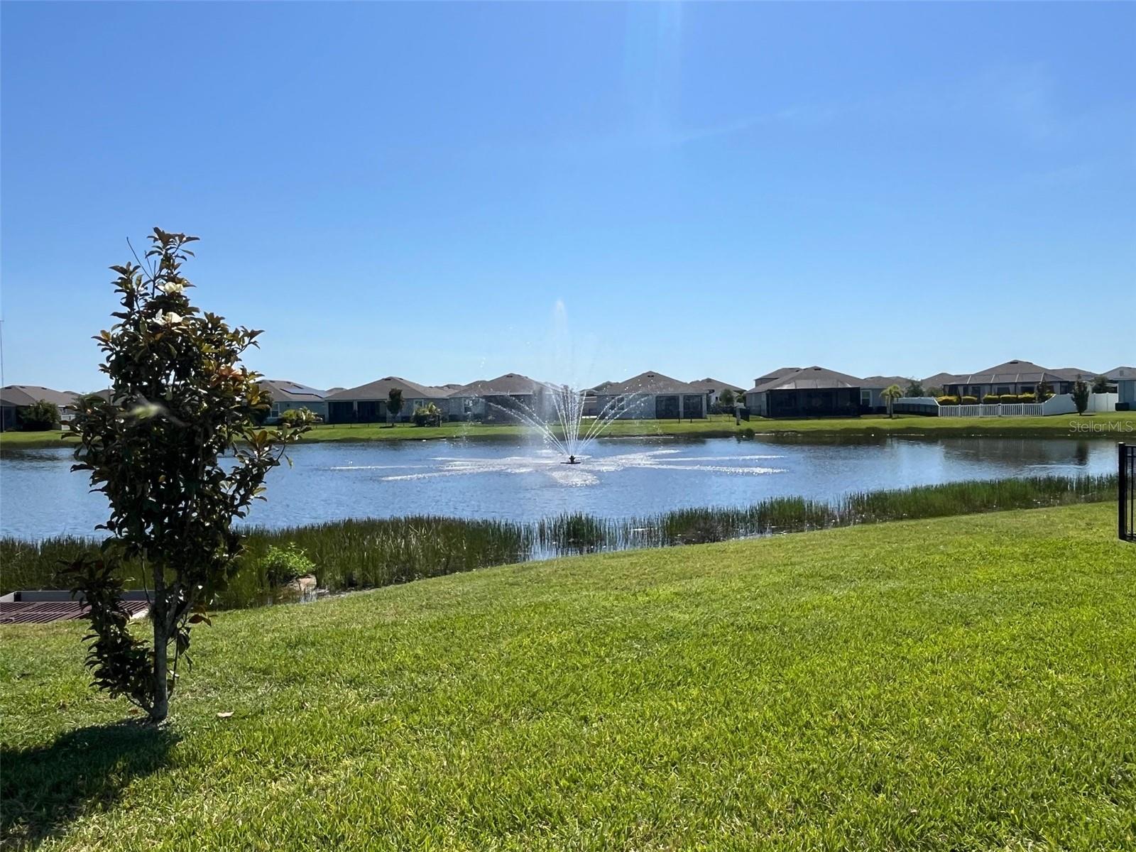 13338 WATERLEAF GARDEN CIR, RIVERVIEW, FL, 33579