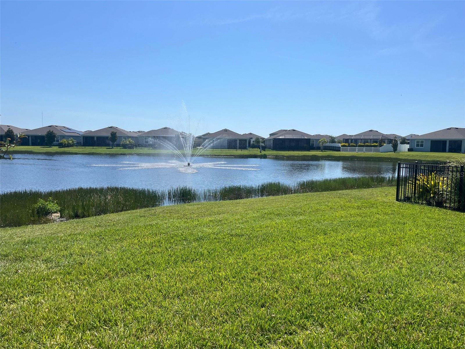 13338 WATERLEAF GARDEN CIR, RIVERVIEW, FL, 33579