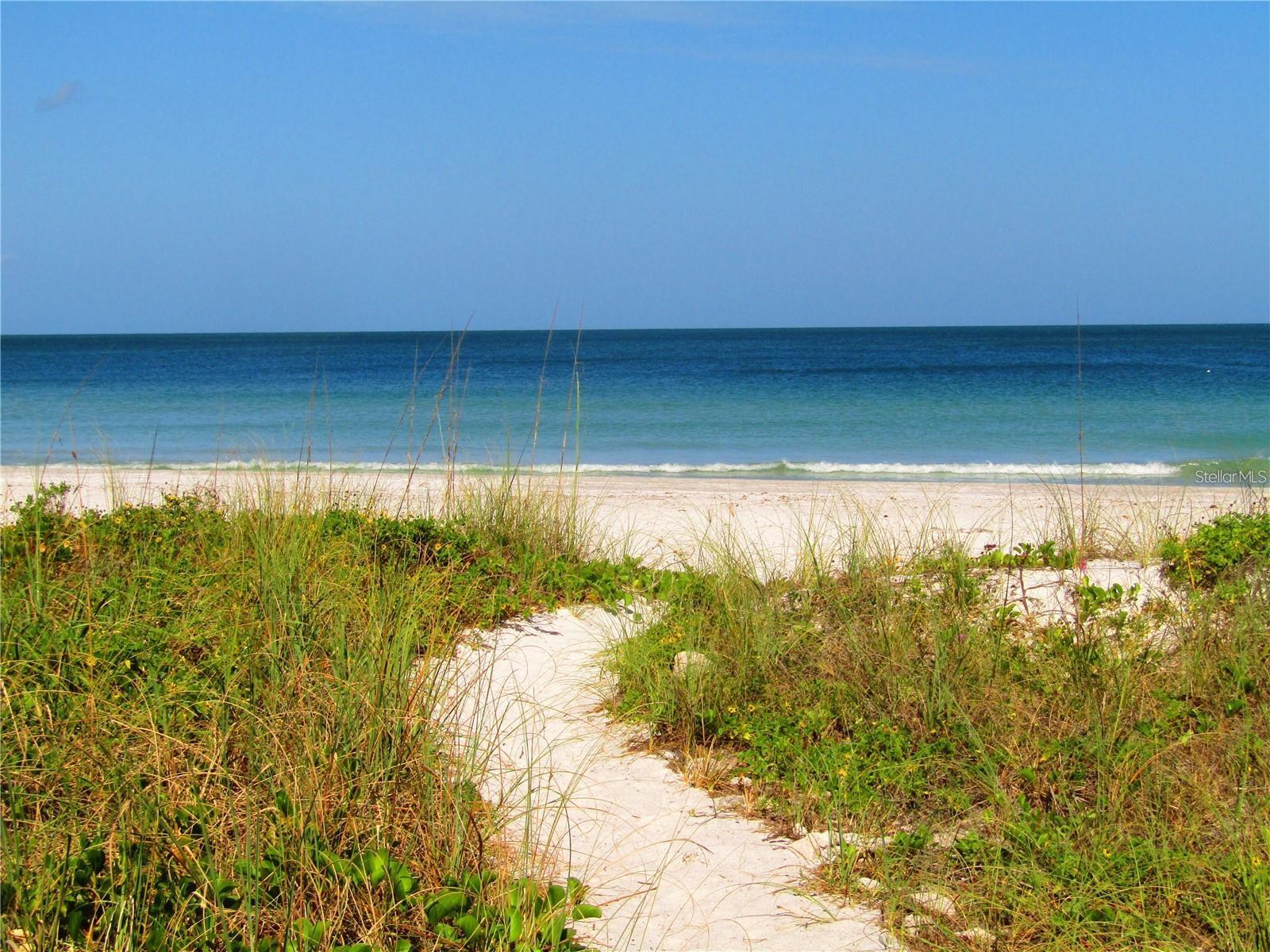 1460 GULF BLVD #308, CLEARWATER BEACH, FL, 33767