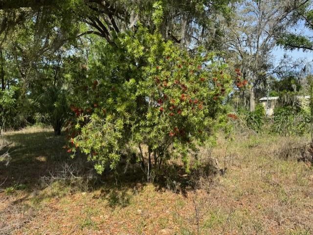 89 SW 156TH CT, OCALA, FL, 34481