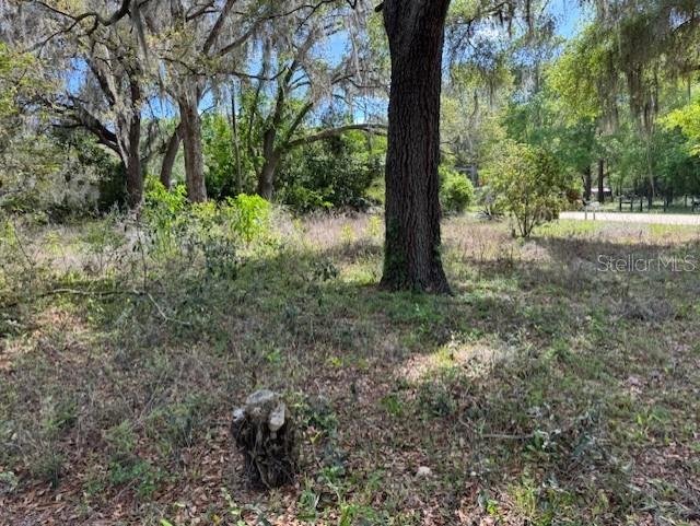 89 SW 156TH CT, OCALA, FL, 34481
