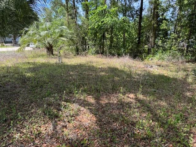 89 SW 156TH CT, OCALA, FL, 34481