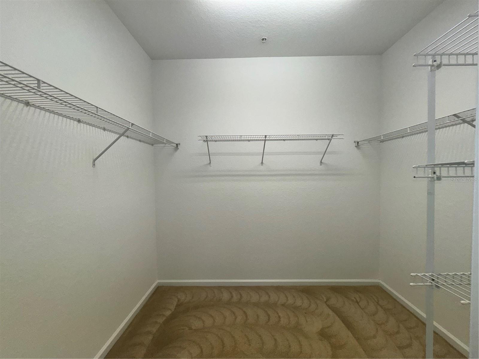6466 CAVA ALTA DR #204, ORLANDO, FL, 32835