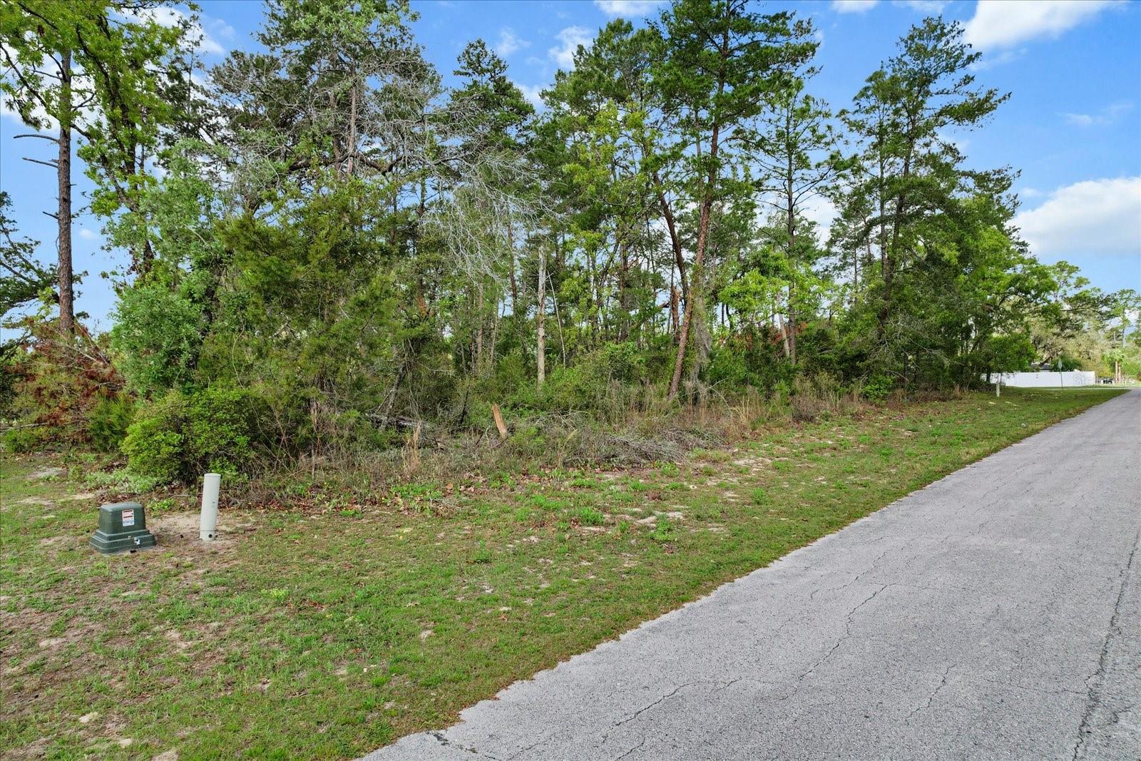 SW 172ND STREET RD, OCALA, FL, 34473