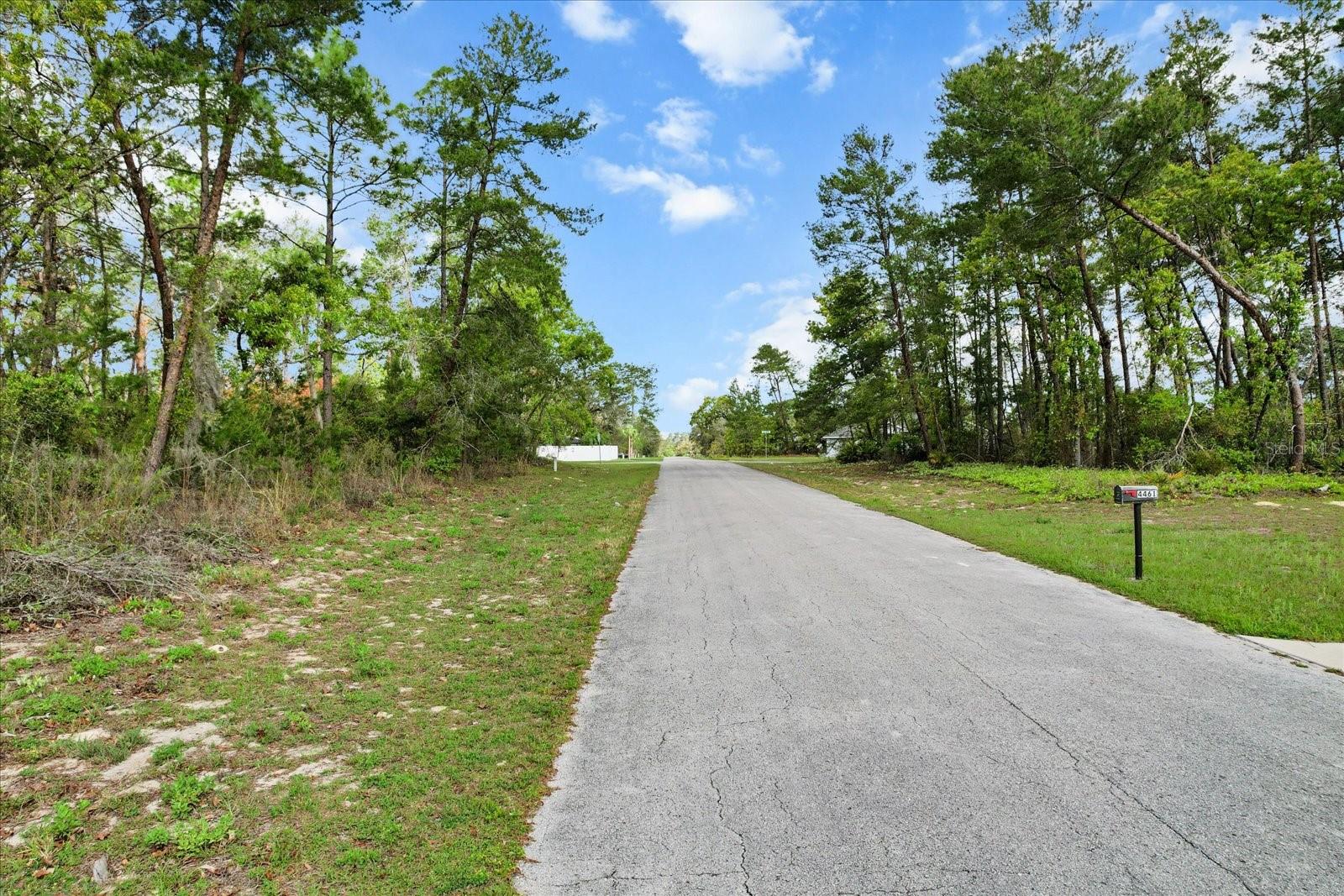 SW 172ND STREET RD, OCALA, FL, 34473