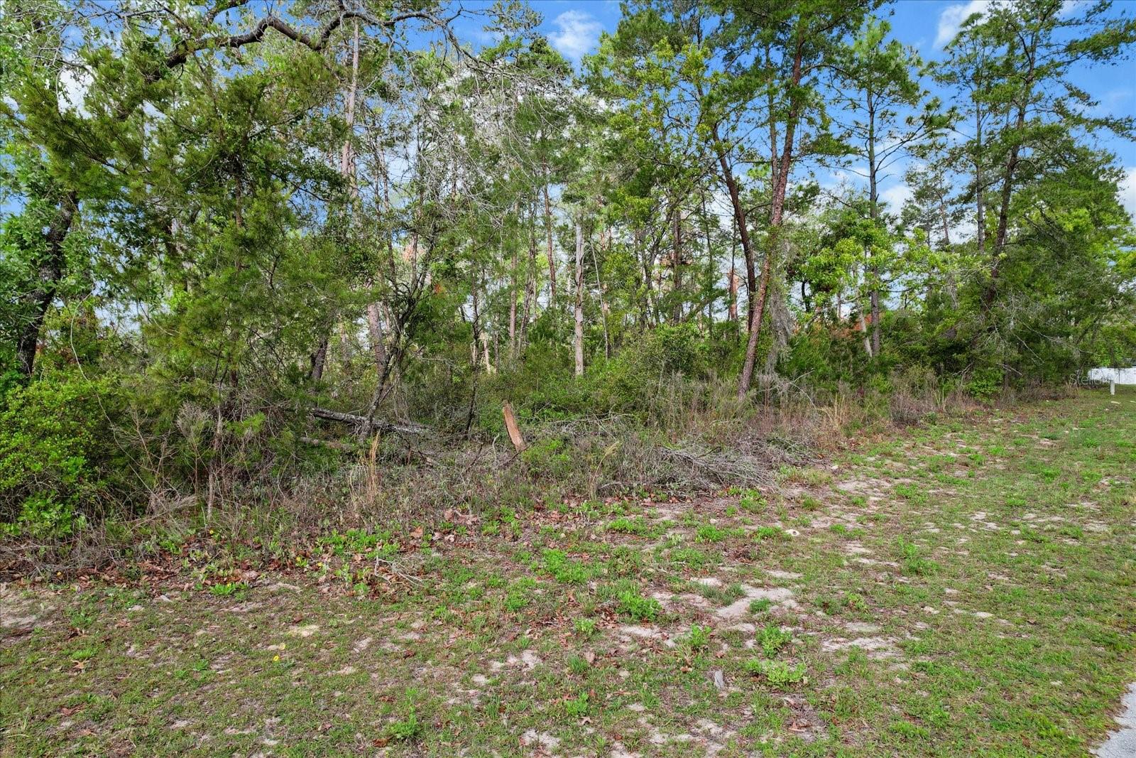 SW 172ND STREET RD, OCALA, FL, 34473