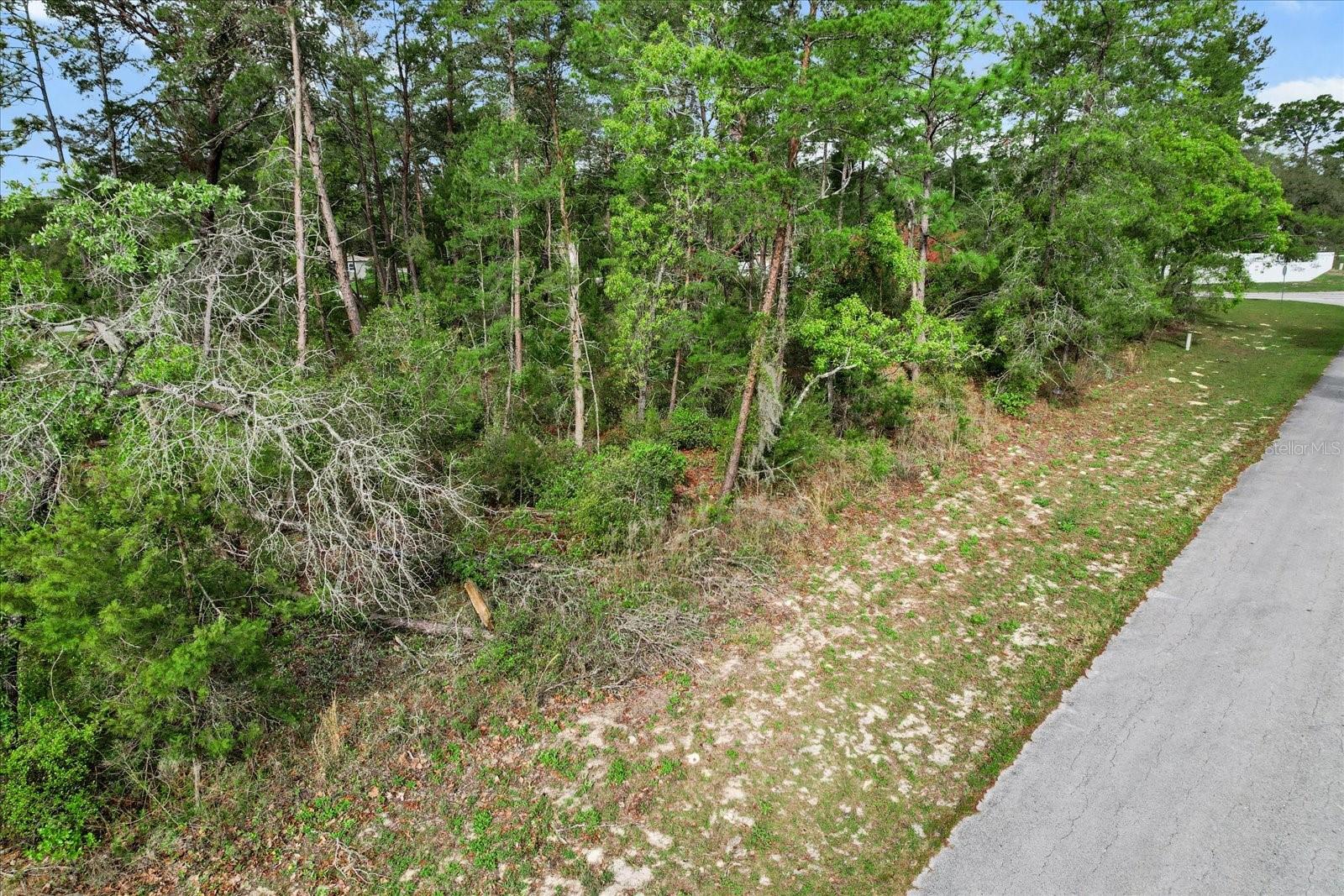 SW 172ND STREET RD, OCALA, FL, 34473