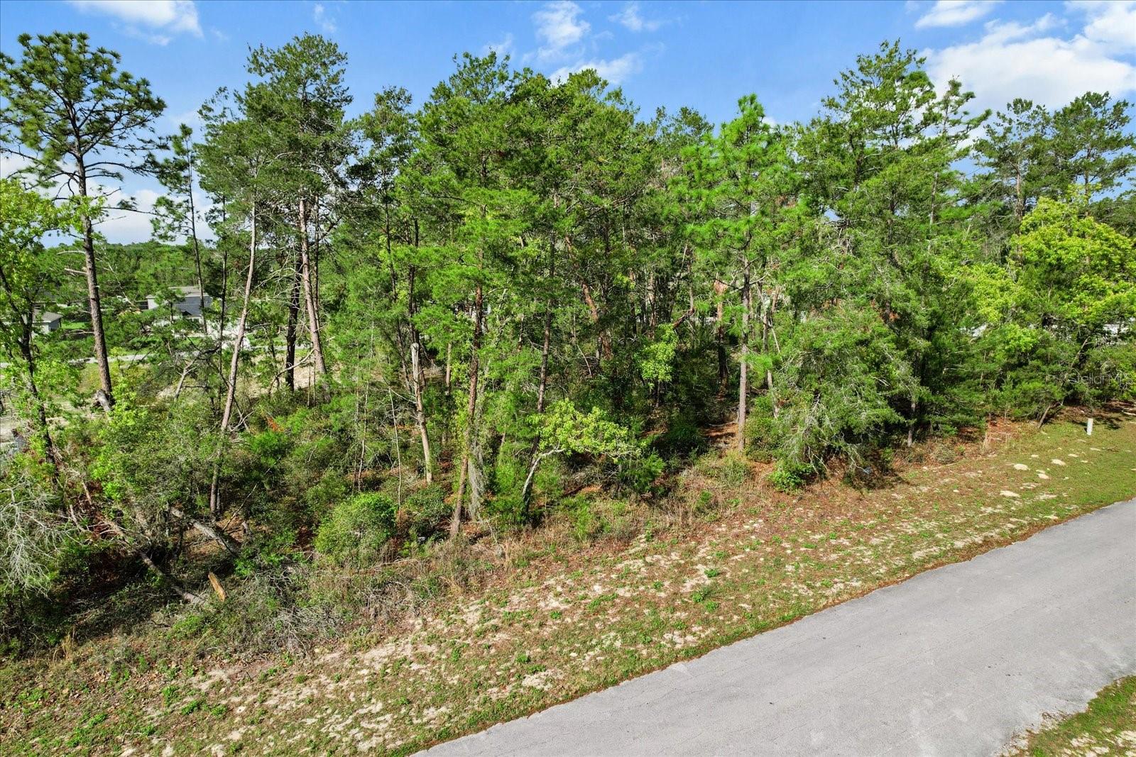 SW 172ND STREET RD, OCALA, FL, 34473