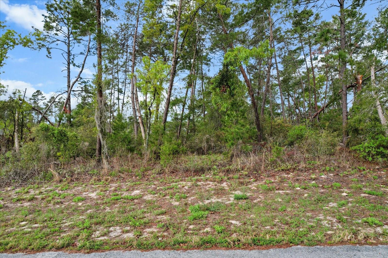 SW 172ND STREET RD, OCALA, FL, 34473