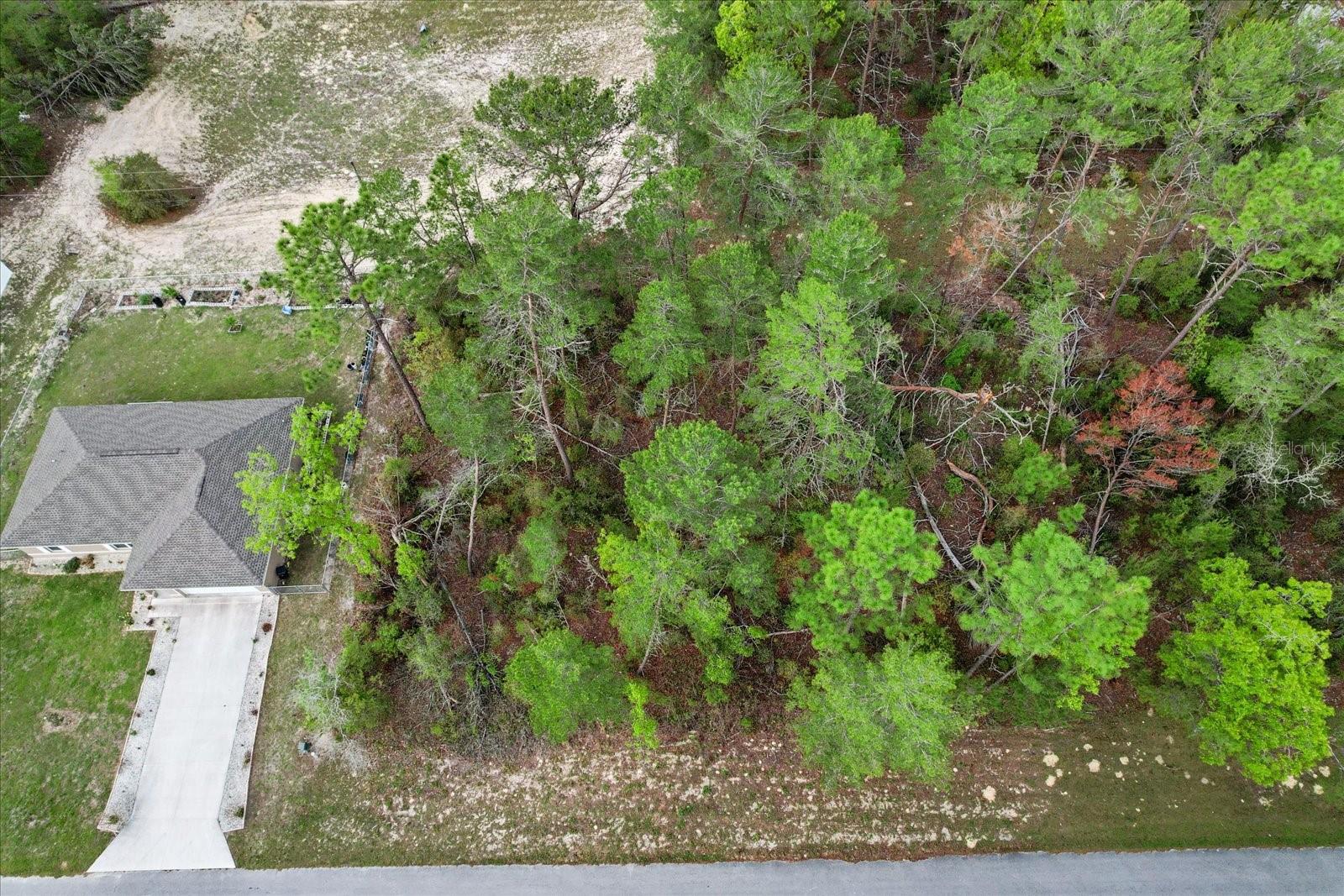 SW 172ND STREET RD, OCALA, FL, 34473