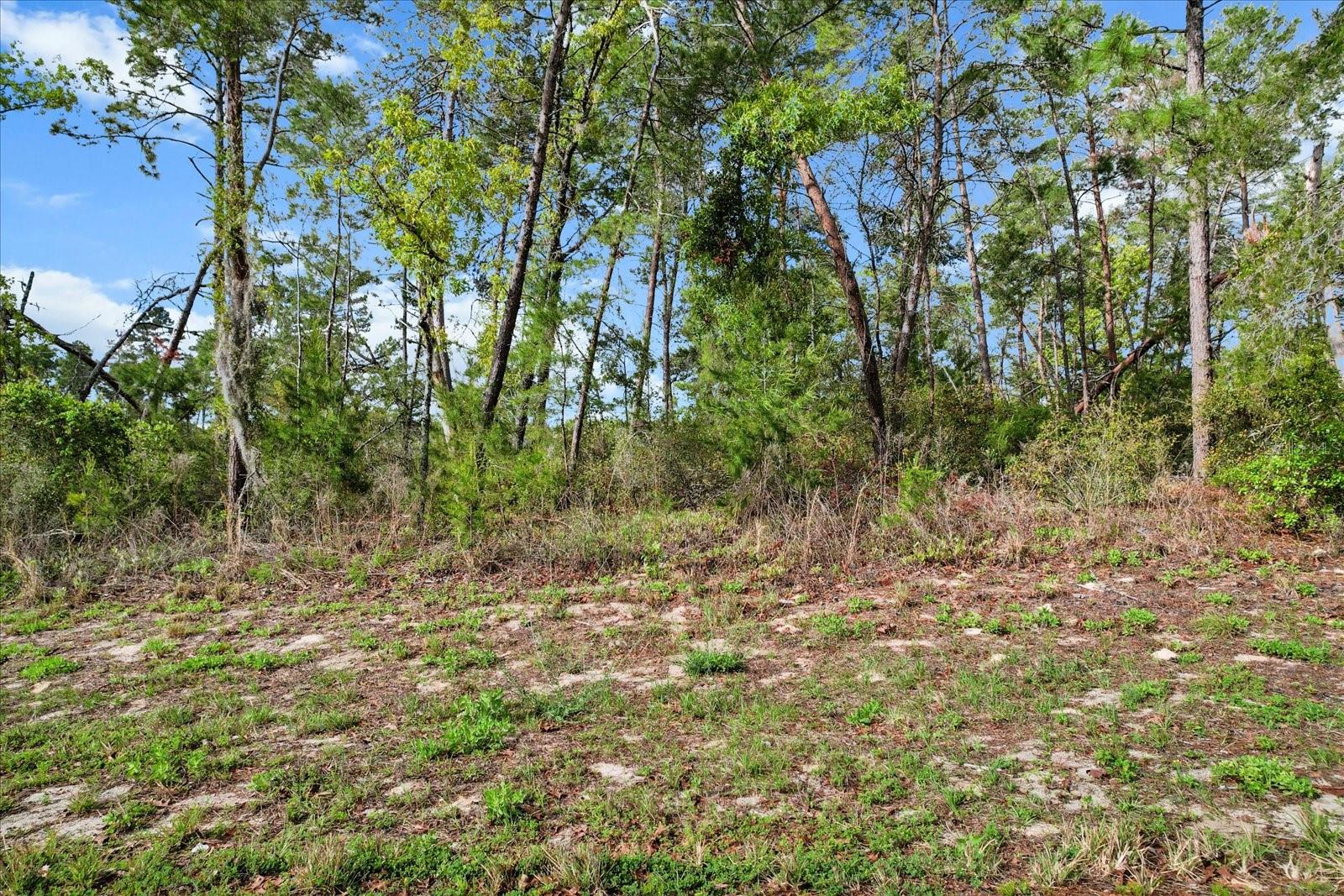 SW 172ND STREET RD, OCALA, FL, 34473