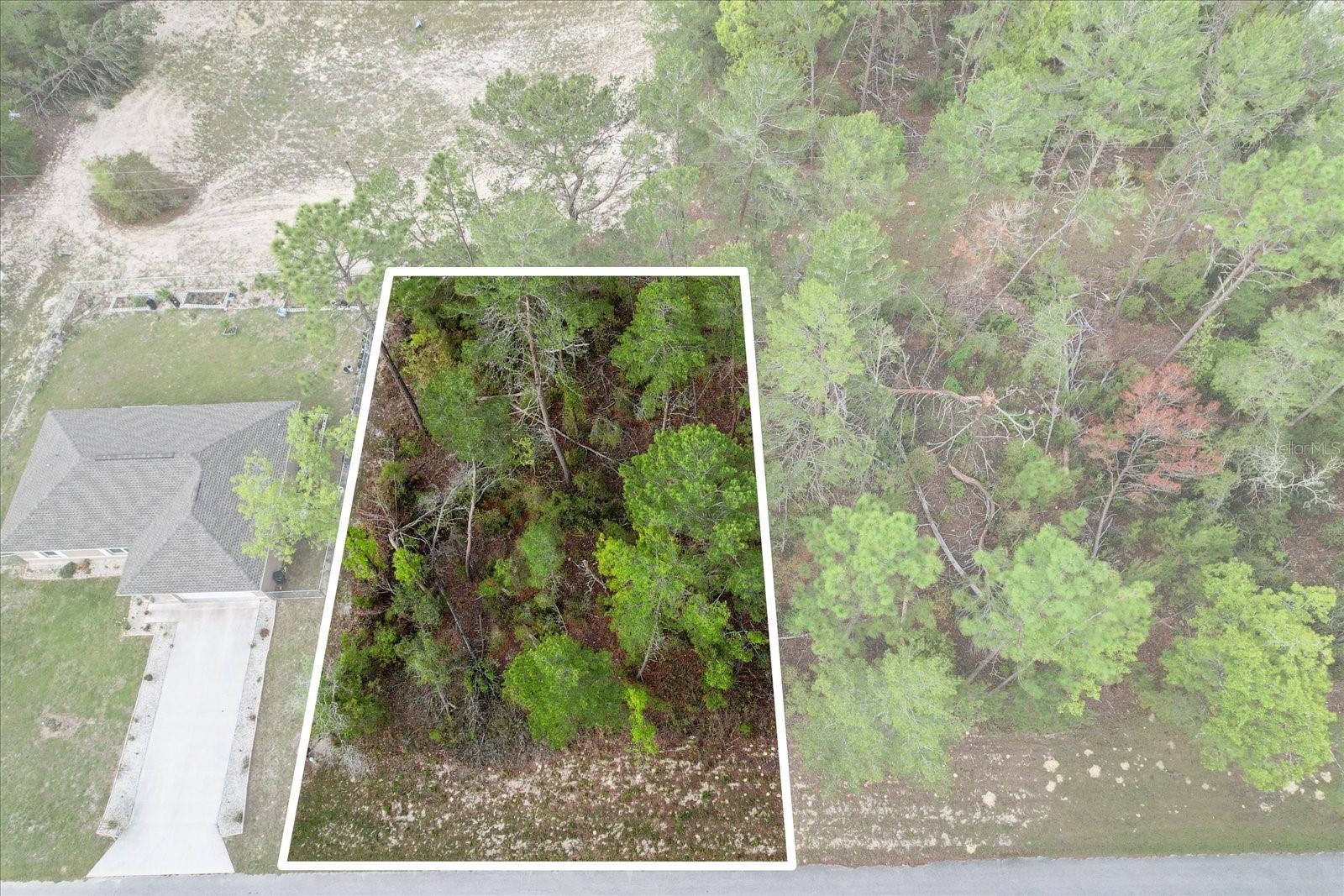SW 172ND STREET RD, OCALA, FL, 34473