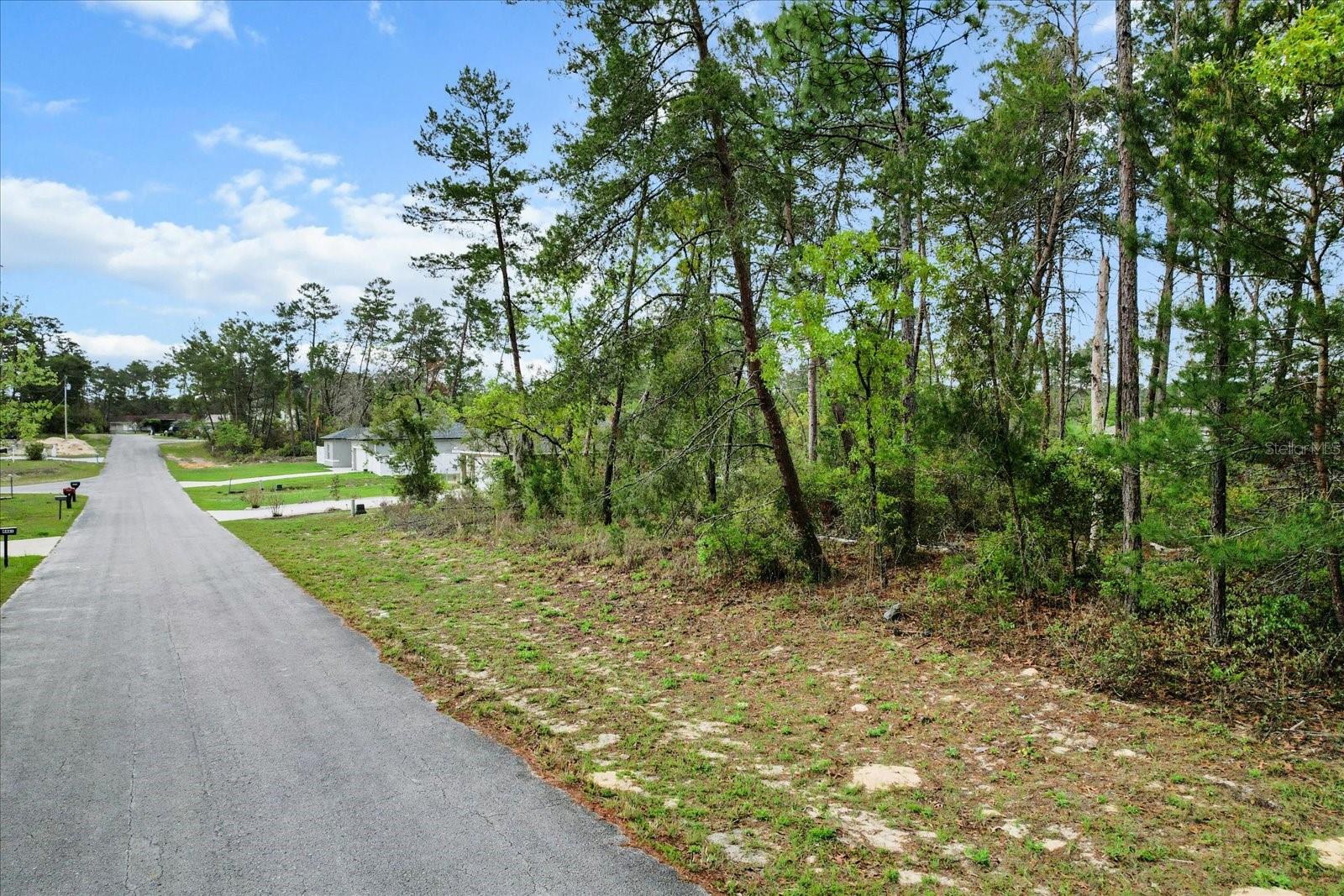 SW 172ND STREET RD, OCALA, FL, 34473