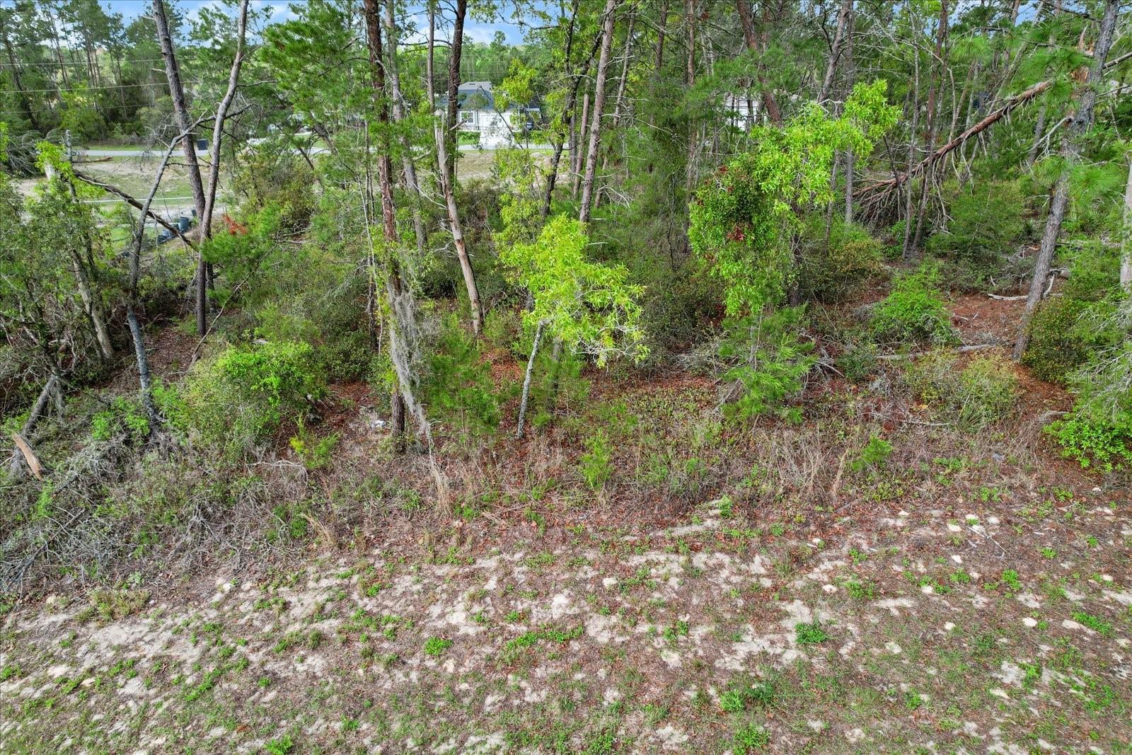SW 172ND STREET RD, OCALA, FL, 34473