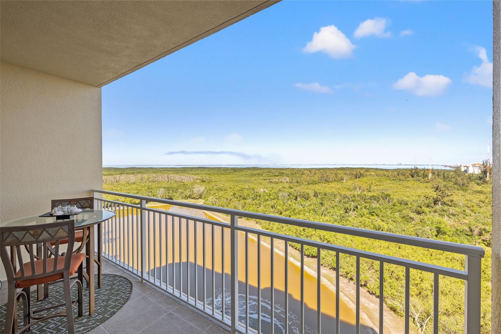 10851 MANGROVE CAY LN NE #1014, ST PETERSBURG, FL, 33716