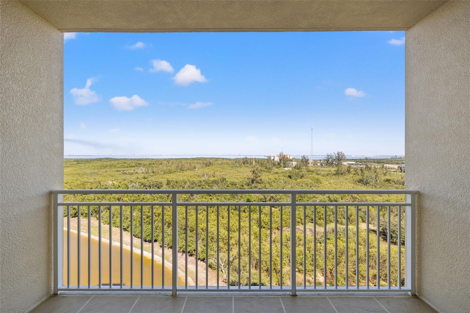 10851 MANGROVE CAY LN NE #1014, ST PETERSBURG, FL, 33716