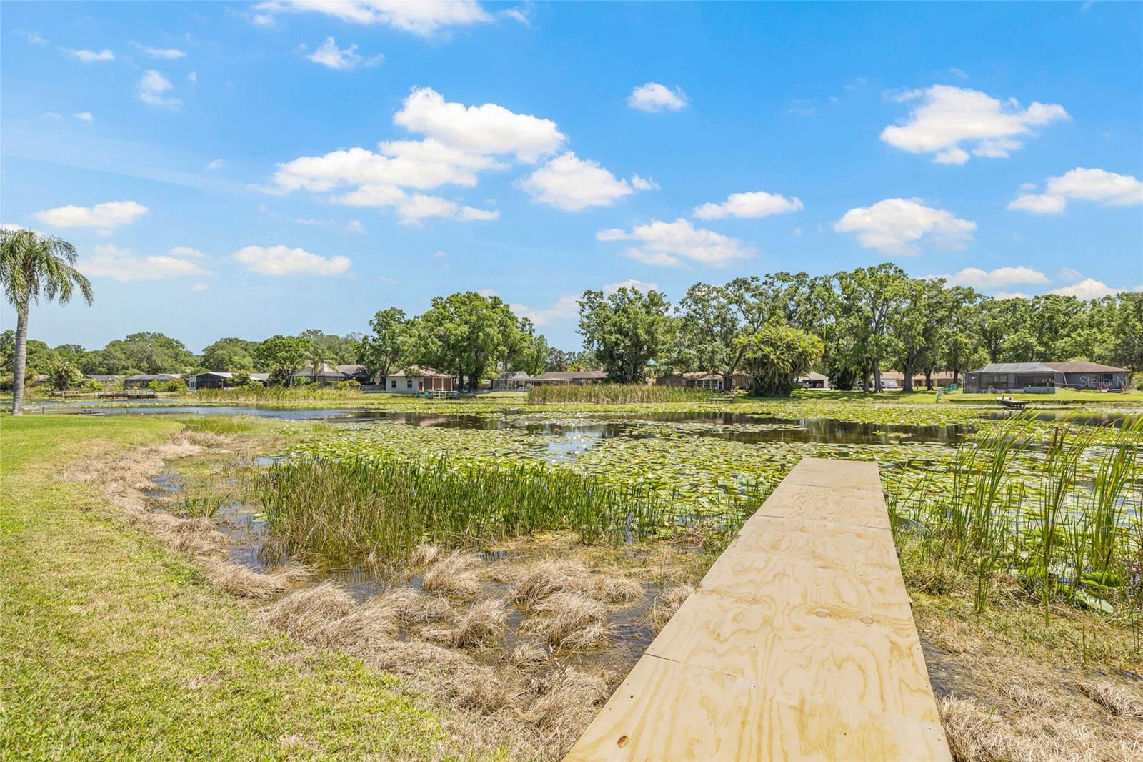 3626 LAKE JOYCE DR, LAND O LAKES, FL, 34639